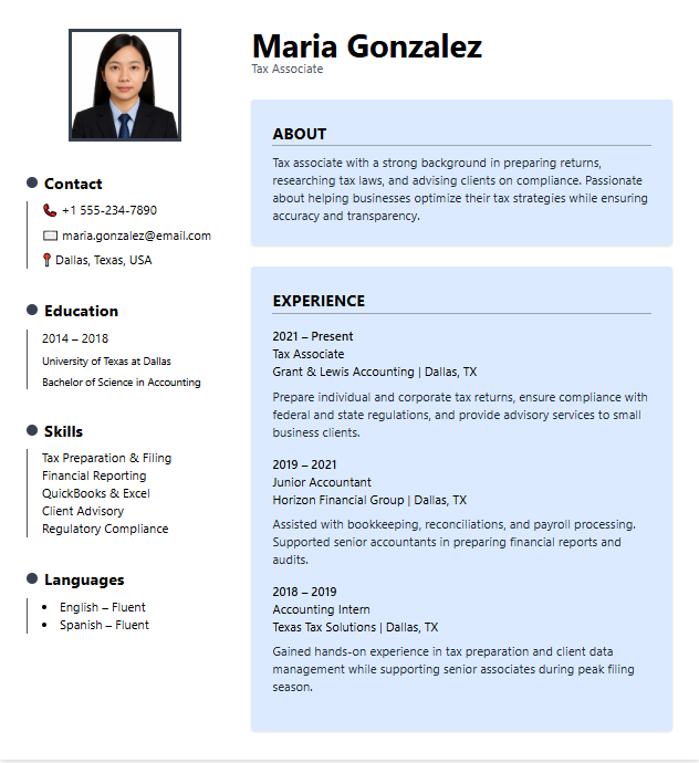 Accountant Template 2