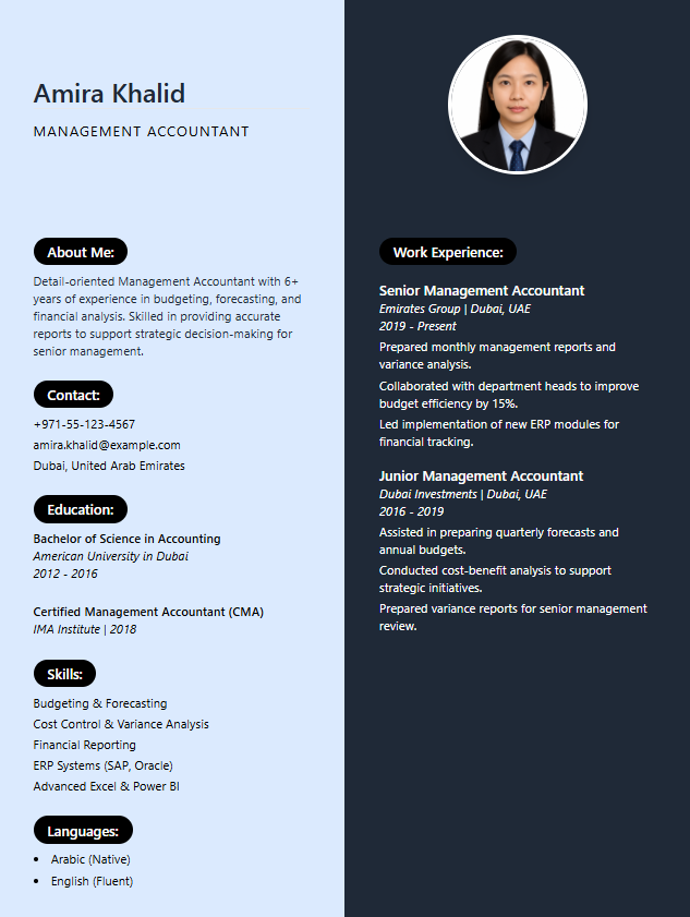 Accountant Template 6